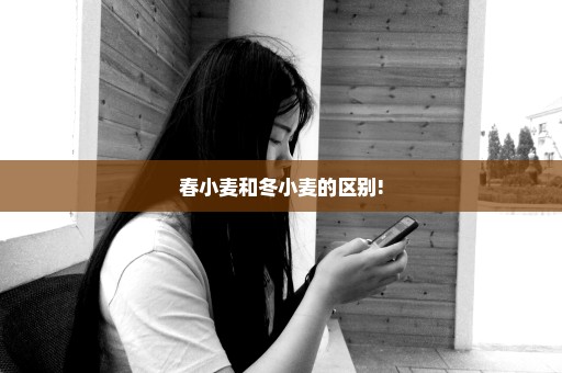 春小麦和冬小麦的区别!