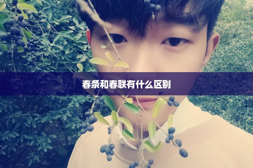 春条和春联有什么区别