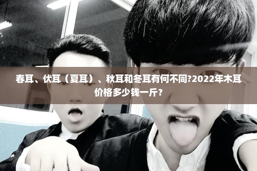 春耳、伏耳（夏耳）、秋耳和冬耳有何不同?2022年木耳价格多少钱一斤？