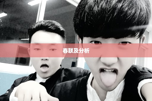 春联及分析