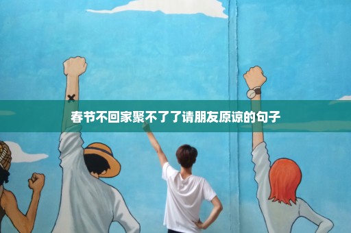 春节不回家聚不了了请朋友原谅的句子