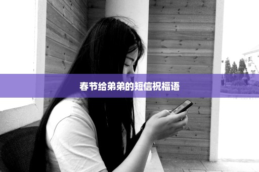 春节给弟弟的短信祝福语