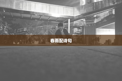 春雨配诗句