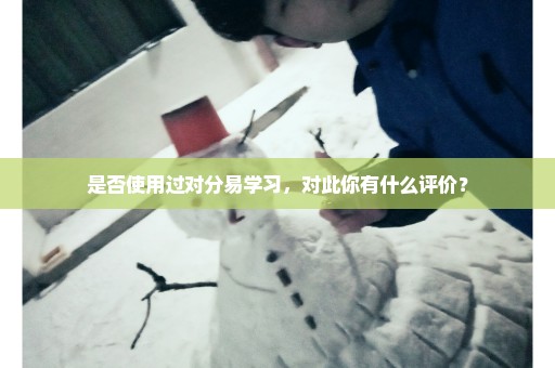 是否使用过对分易学习，对此你有什么评价？