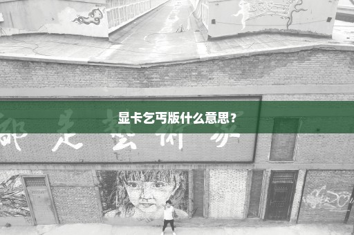 显卡乞丐版什么意思？