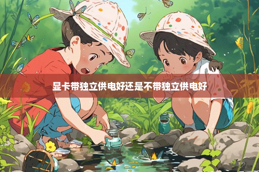 显卡带独立供电好还是不带独立供电好
