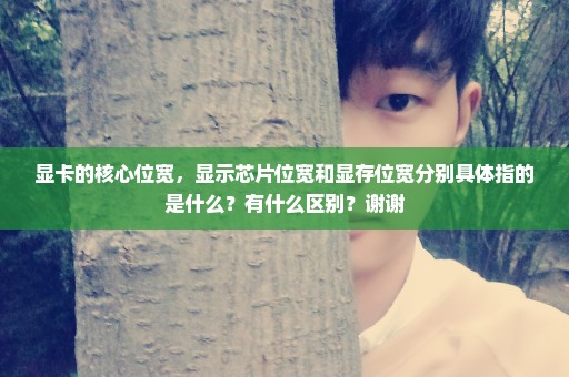 显卡的核心位宽，显示芯片位宽和显存位宽分别具体指的是什么？有什么区别？谢谢