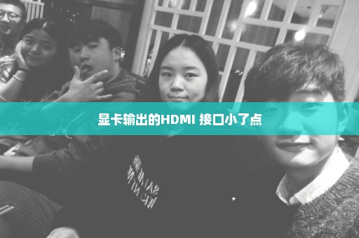 显卡输出的HDMI 接口小了点