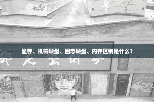 显存、机械硬盘、固态硬盘、内存区别是什么？