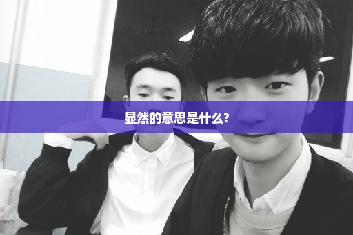 显然的意思是什么?