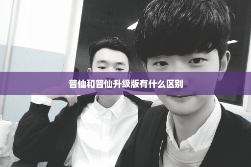 普仙和普仙升级版有什么区别