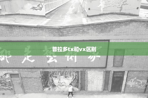 普拉多tx和vx区别