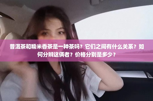 普洱茶和糯米香茶是一种茶吗？它们之间有什么关系？如何分辨这俩者？价格分别是多少？