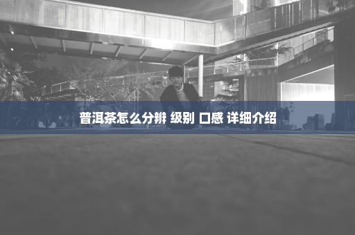 普洱茶怎么分辨 级别 口感 详细介绍