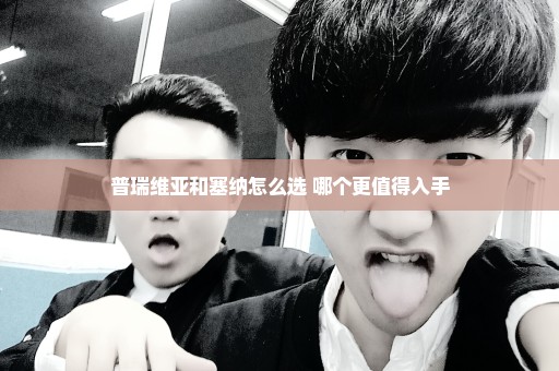 普瑞维亚和塞纳怎么选 哪个更值得入手