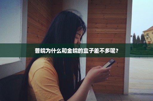 普皖为什么和金皖的盒子差不多呢？
