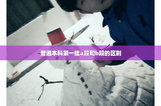 普通本科第一批a段和b段的区别