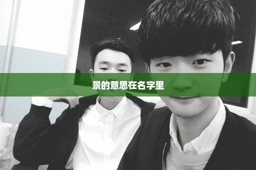 景的意思在名字里