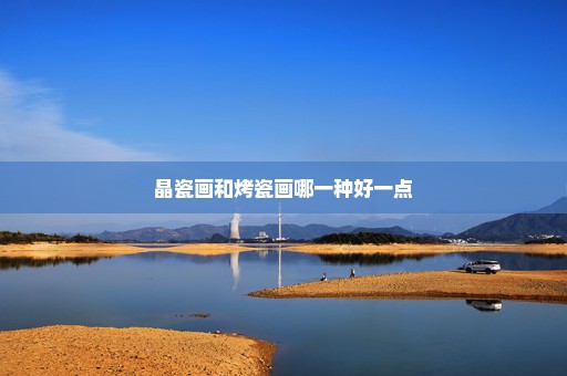 晶瓷画和烤瓷画哪一种好一点