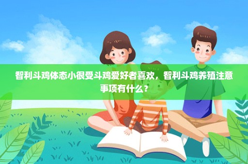 智利斗鸡体态小很受斗鸡爱好者喜欢，智利斗鸡养殖注意事项有什么？