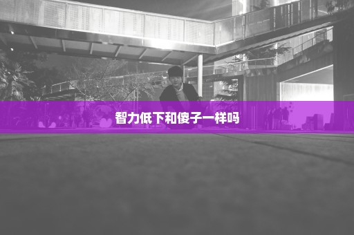 智力低下和傻子一样吗