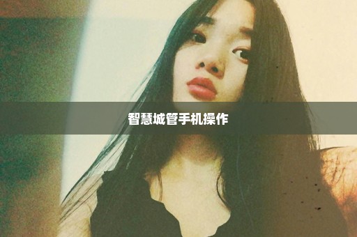 智慧城管手机操作