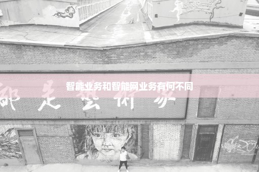 智能业务和智能网业务有何不同