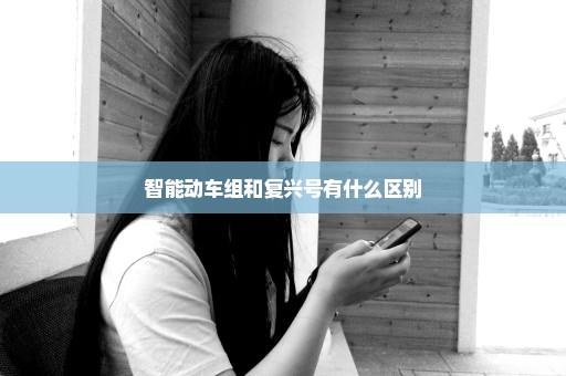 智能动车组和复兴号有什么区别