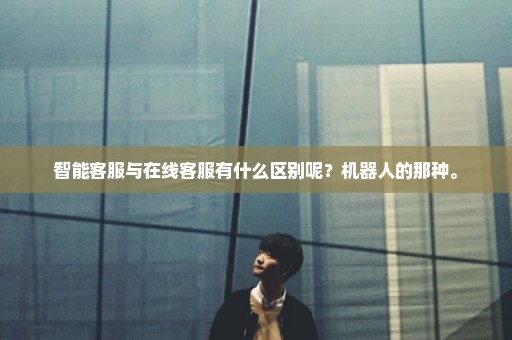 智能客服与在线客服有什么区别呢？机器人的那种。