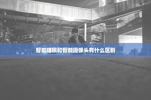 智能猫眼和智能摄像头有什么区别