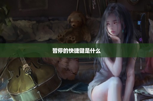 暂停的快捷键是什么