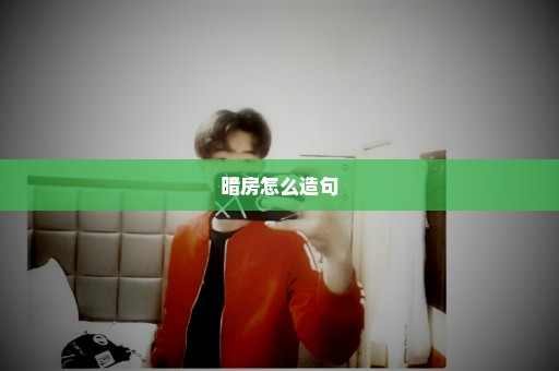 暗房怎么造句