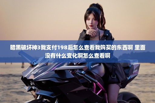 暗黑破坏神3我支付198后怎么查看我购买的东西啊 里面没有什么变化啊怎么查看啊