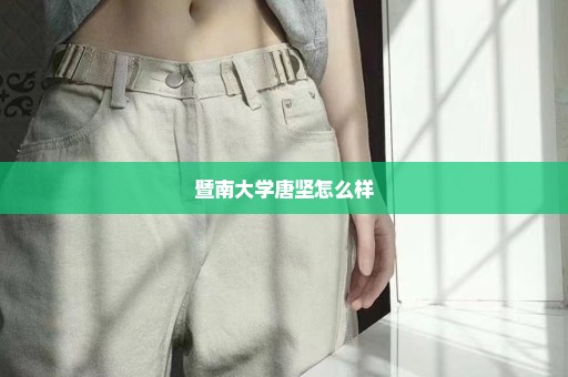 暨南大学唐坚怎么样