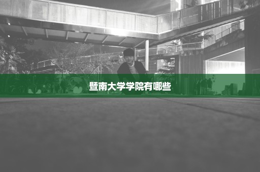 暨南大学学院有哪些
