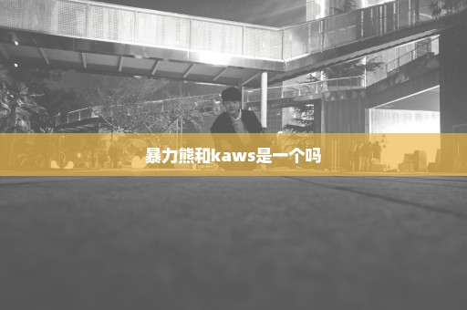 暴力熊和kaws是一个吗