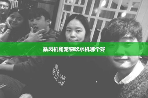 暴风机和宠物吹水机哪个好