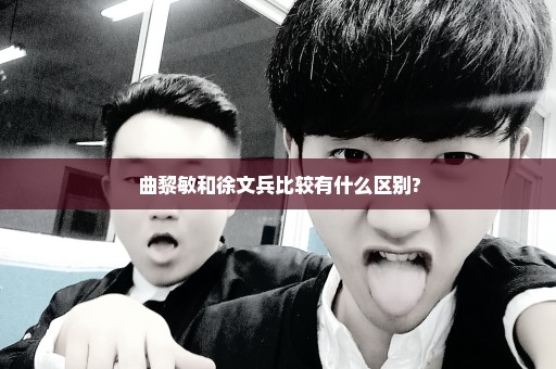 曲黎敏和徐文兵比较有什么区别?