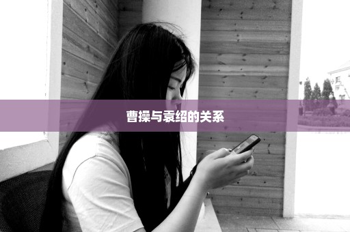 曹操与袁绍的关系