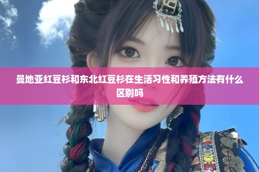曼地亚红豆杉和东北红豆杉在生活习性和养殖方法有什么区别吗