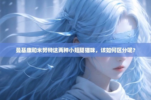曼基康和米努特这两种小短腿猫咪，该如何区分呢？