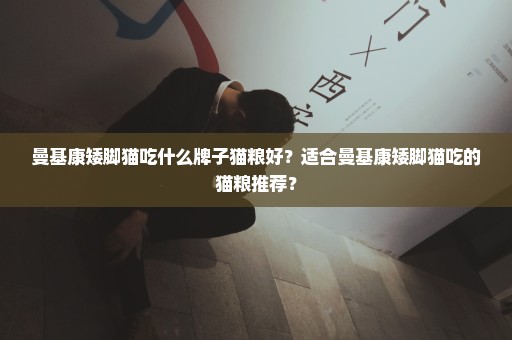 曼基康矮脚猫吃什么牌子猫粮好？适合曼基康矮脚猫吃的猫粮推荐？