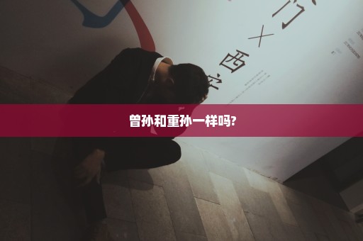 曾孙和重孙一样吗?