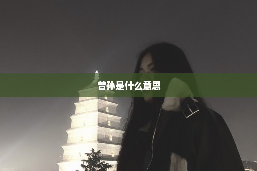 曾孙是什么意思