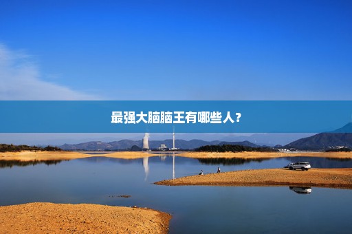 最强大脑脑王有哪些人？