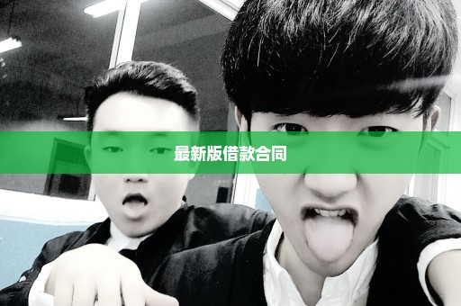 最新版借款合同