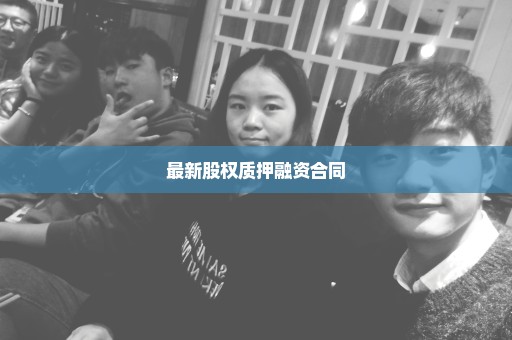 最新股权质押融资合同