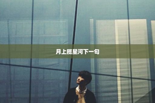 月上揽星河下一句