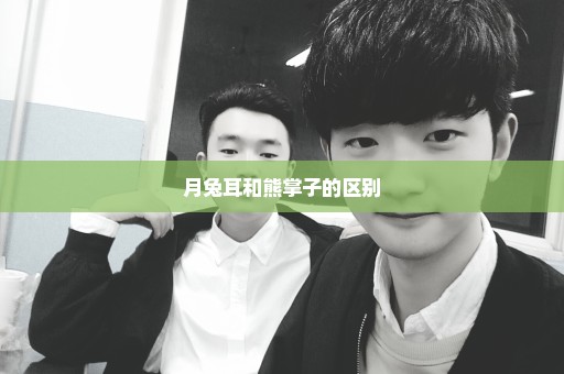 月兔耳和熊掌子的区别