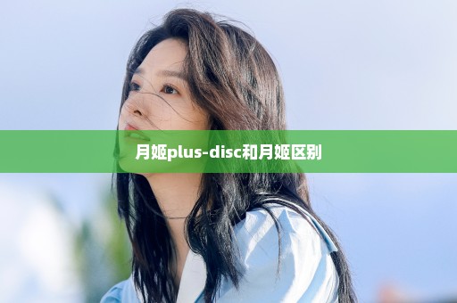 月姬plus-disc和月姬区别